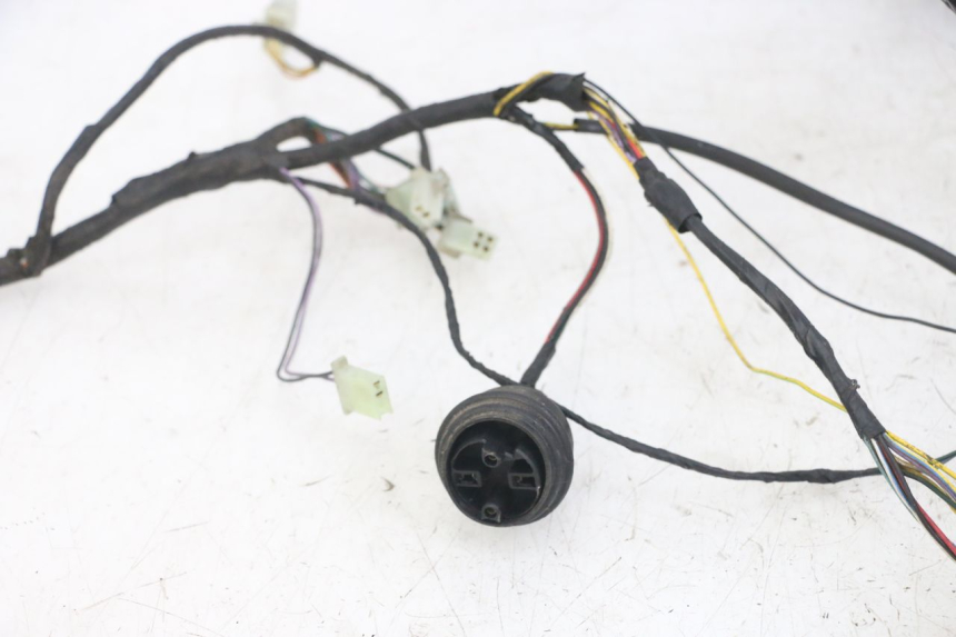 photo de WIRE HARNESS PEUGEOT JET FORCE CARBU 50 (2003 - 2016) - Alternative perspective