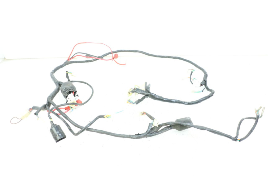 photo de WIRE HARNESS JM MOTORS VX 125 (2022 - 2025) - Alternative perspective