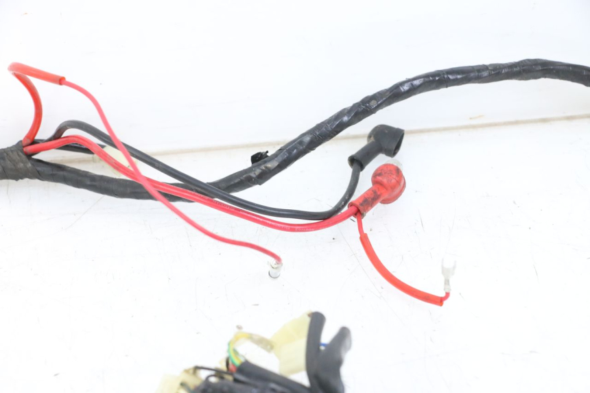 photo de WIRE HARNESS JM MOTORS VX 125 (2022 - 2025) - Fixing points details
