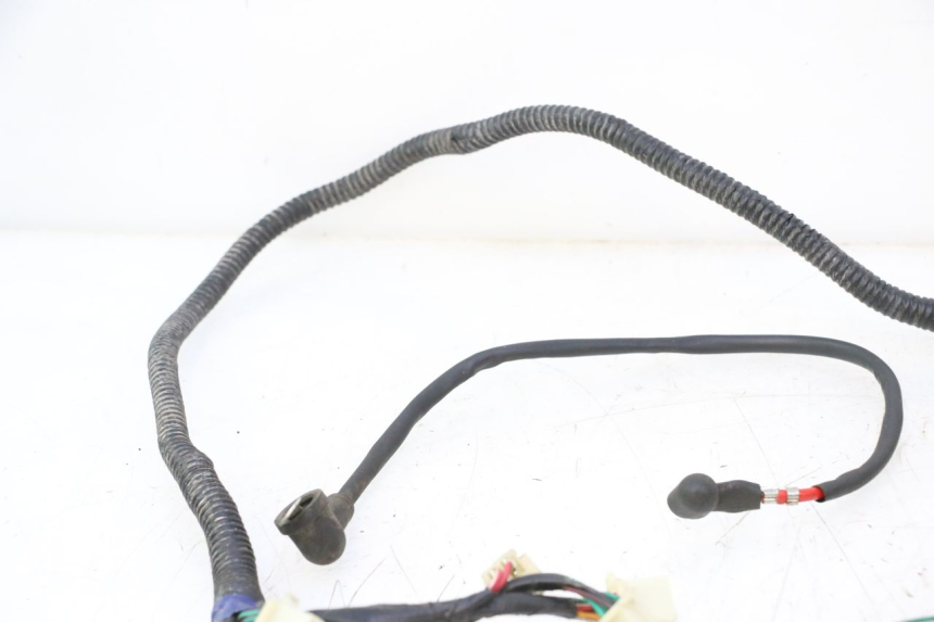 photo de WIRE HARNESS RIDE JUMP 2T 50 (2012 - 2017) - Additional view of the item