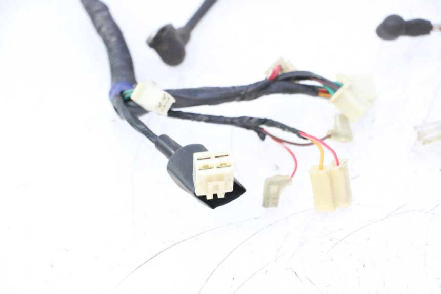 photo de WIRE HARNESS RIDE JUMP 2T 50 (2012 - 2017) - Distinctive features