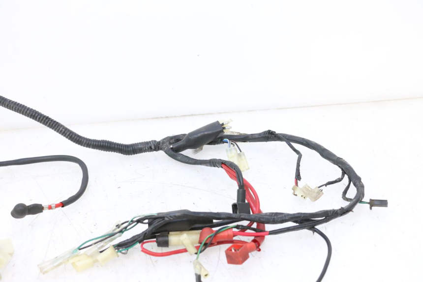 photo de WIRE HARNESS RIDE JUMP 2T 50 (2012 - 2017) - Markings and original references