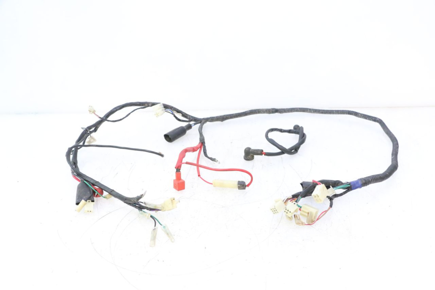 photo de WIRE HARNESS RIDE JUMP 2T 50 (2012 - 2017) - Main view