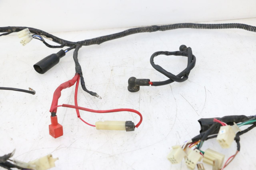 photo de WIRE HARNESS RIDE JUMP 2T 50 (2012 - 2017) - Alternative perspective