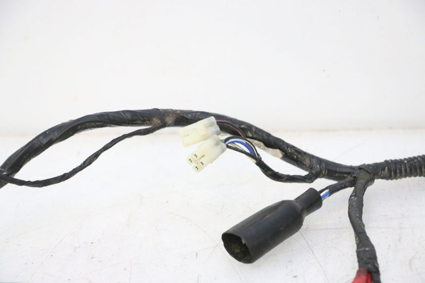 photo de WIRE HARNESS RIDE JUMP 2T 50 (2012 - 2017) - Technical close-up
