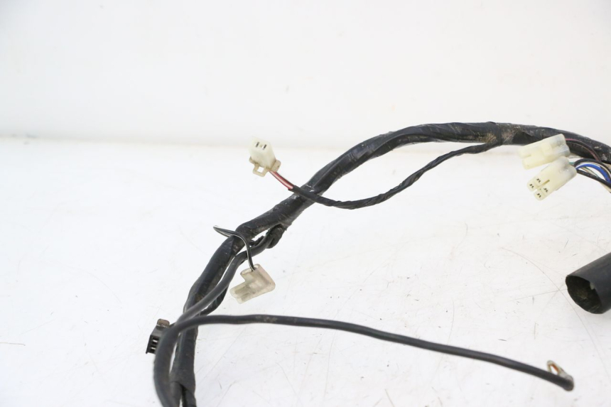 photo de WIRE HARNESS RIDE JUMP 2T 50 (2012 - 2017) - Product overview
