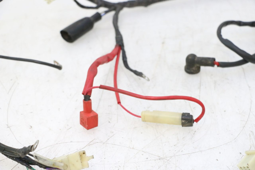 photo de WIRE HARNESS RIDE JUMP 2T 50 (2012 - 2017) - Surface and material condition