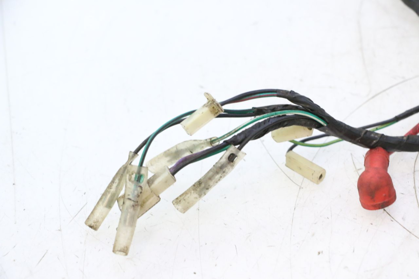 photo de WIRE HARNESS RIDE JUMP 2T 50 (2012 - 2017) - Distinctive features