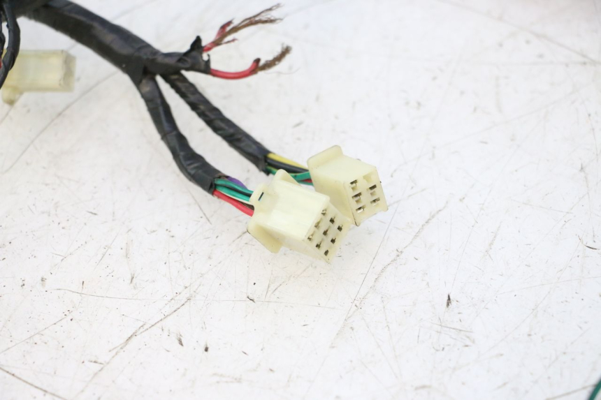 photo de WIRE HARNESS RIDE JUMP 2T 50 (2012 - 2017) - Additional view of the item