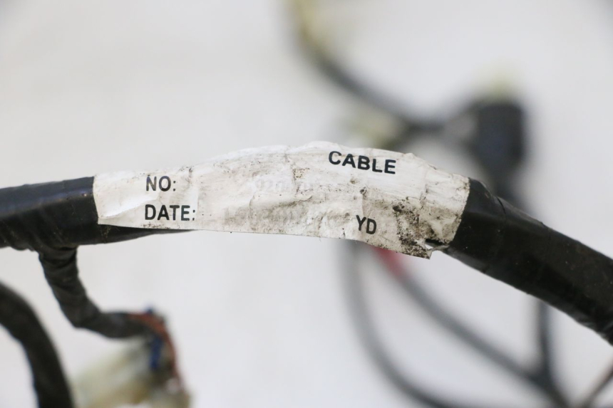 photo de WIRE HARNESS RIDE JUMP 2T 50 (2012 - 2017) - Alternative perspective