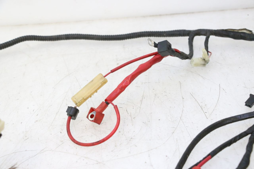 photo de WIRE HARNESS RIDE JUMP 2T 50 (2012 - 2017) - Fixing points details