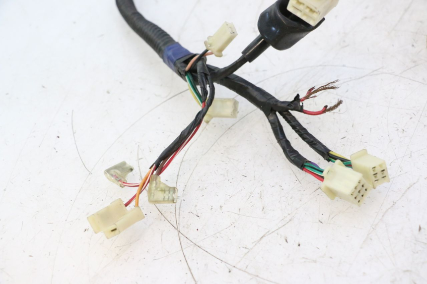 photo de WIRE HARNESS RIDE JUMP 2T 50 (2012 - 2017) - Markings and original references