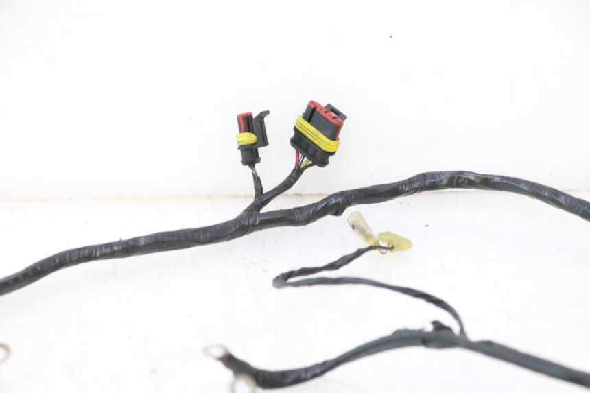 photo de WIRING HARNESS RIDE KALLIO 50 (2010 - 2019) - Additional view of the item