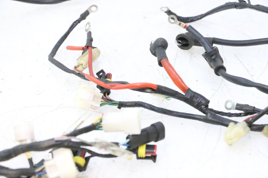photo de WIRING HARNESS RIDE KALLIO 50 (2010 - 2019) - Surface and material condition
