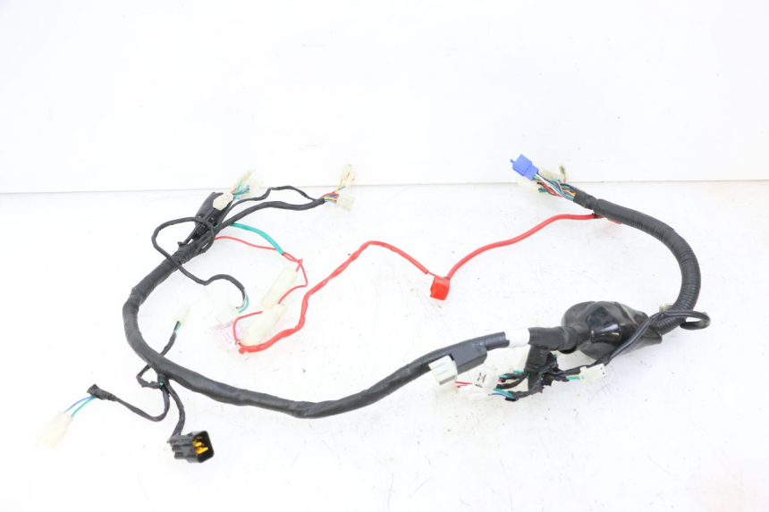 photo de WIRE HARNESS KIDEN KD125-G 125 (2018 - 2022) - Technical close-up