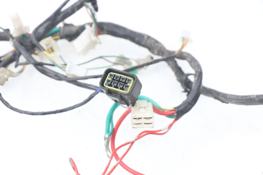 photo de WIRING HARNESS PEUGEOT KISBEE 2T 50 (2010 - 2017) - Zoom on usage condition