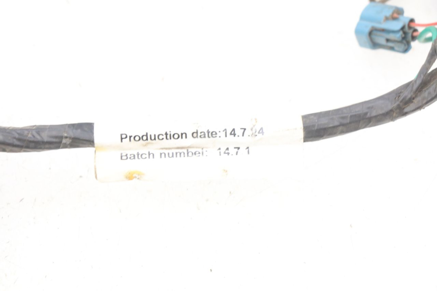 photo de WIRING HARNESS PEUGEOT KISBEE 2T 50 (2010 - 2017) - Component detail