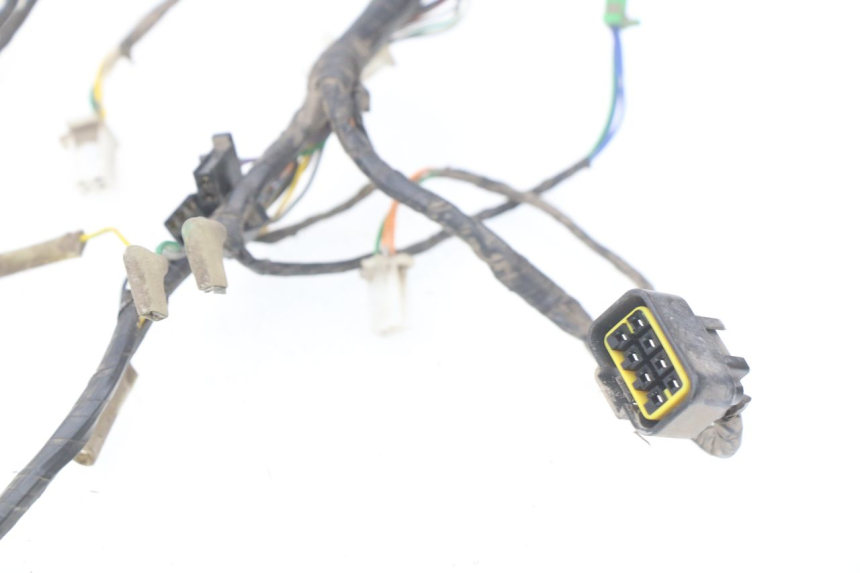 photo de WIRING HARNESS PEUGEOT KISBEE 2T 50 (2010 - 2017) - Alternative perspective