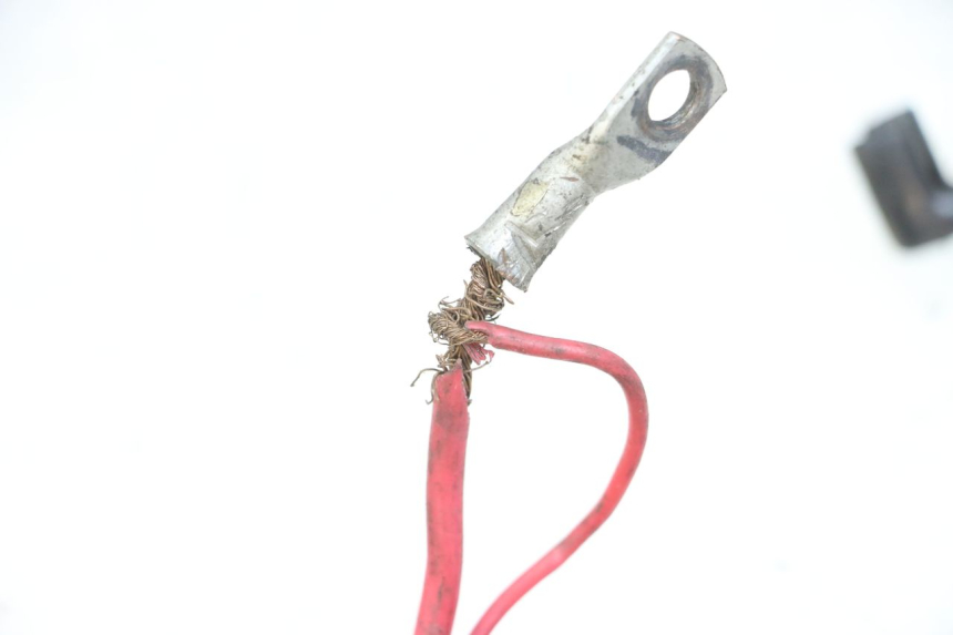 photo de WIRE HARNESS PEUGEOT KISBEE 2T 50 (2018 - 2022) - Technical close-up