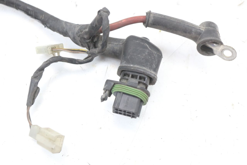 photo de WIRE HARNESS RENAULT KOURANOS 125 (2001 - 2004) - Distinctive features