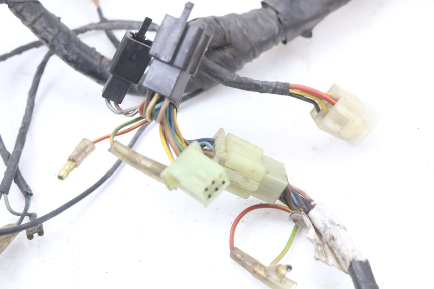 photo de WIRE HARNESS RENAULT KOURANOS 125 (2001 - 2004) - Alternative perspective