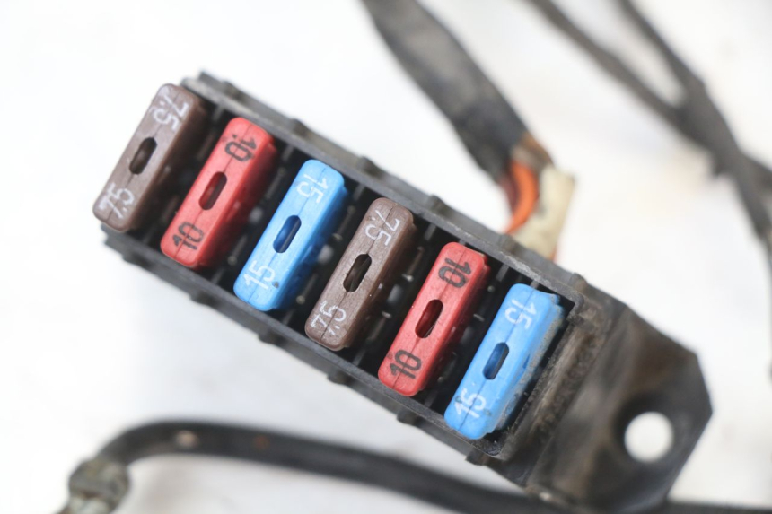 photo de WIRE HARNESS RENAULT KOURANOS 125 (2001 - 2004) - Product overview