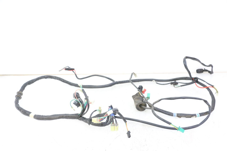 photo de WIRE HARNESS KYMCO PEOPLE S 125 (2000 - 2008) - Main view