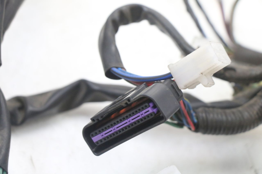 photo de WIRE HARNESS KYMCO XCITING 500 (2007 - 2010) - Distinctive features