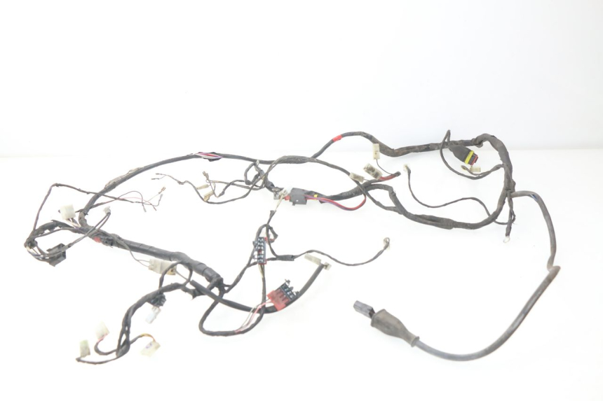 photo de WIRE HARNESS PIAGGIO LIBERTY 4T 50 (2004 - 2008) - Main view