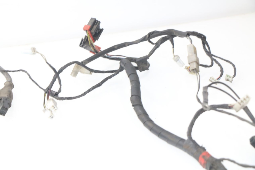 photo de WIRE HARNESS PIAGGIO LIBERTY 4T 50 (2004 - 2008) - Zoom on usage condition