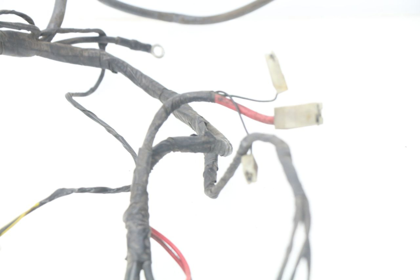 photo de WIRE HARNESS PIAGGIO LIBERTY 4T 50 (2004 - 2008) - Alternative perspective