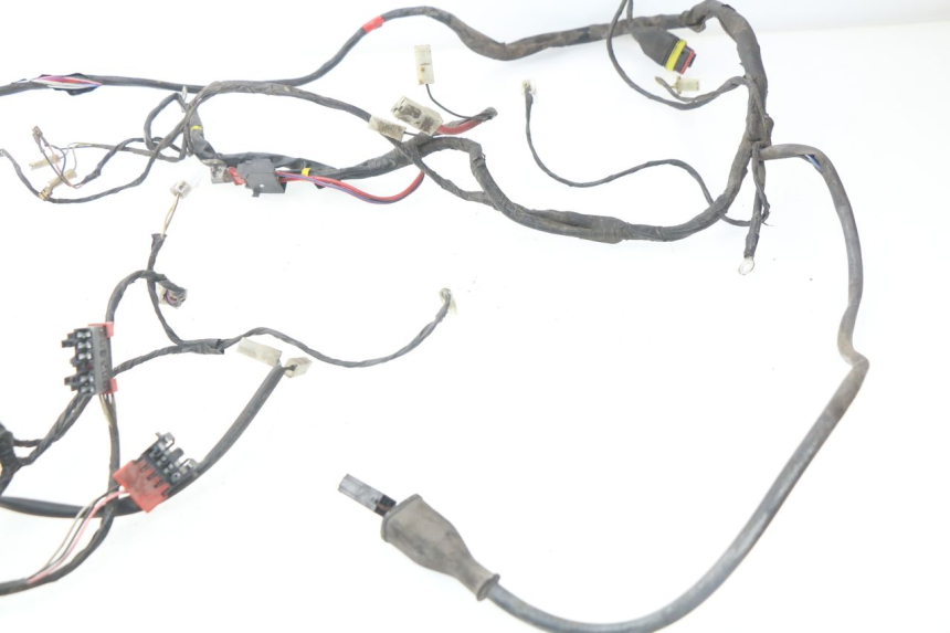 photo de WIRE HARNESS PIAGGIO LIBERTY 4T 50 (2004 - 2008) - Fixing points details