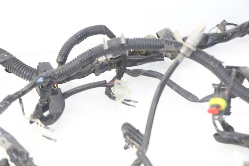 photo de WIRING HARNESS PIAGGIO LIBERTY IGET 4T 50 (2015 - 2020) - Checked used part