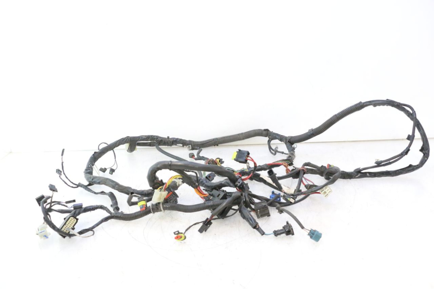 photo de WIRE HARNESS PIAGGIO LIBERTY IGET 4T 50 (2021 - 2025) - Main view