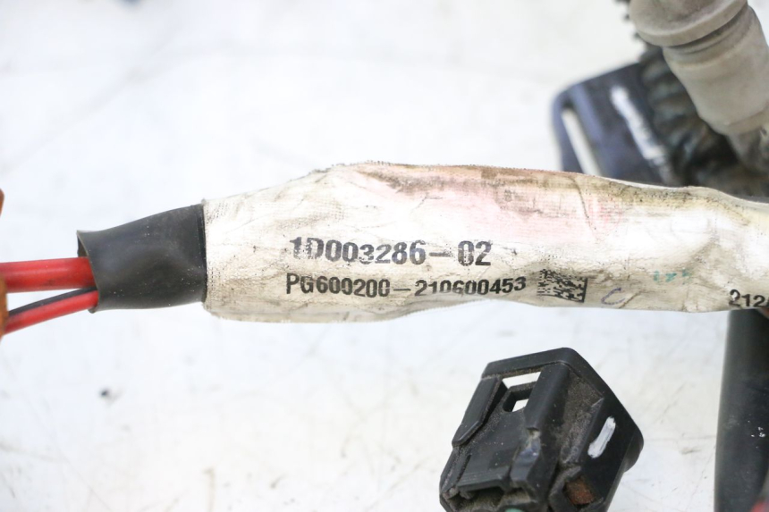 photo de WIRE HARNESS PIAGGIO LIBERTY IGET 4T 50 (2021 - 2025) - High-resolution close-up