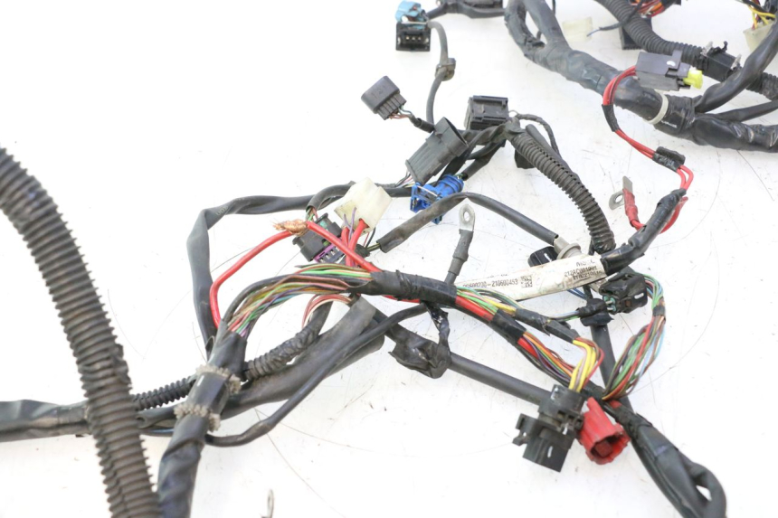 photo de WIRE HARNESS PIAGGIO LIBERTY IGET 4T 50 (2021 - 2025) - Focus on structure