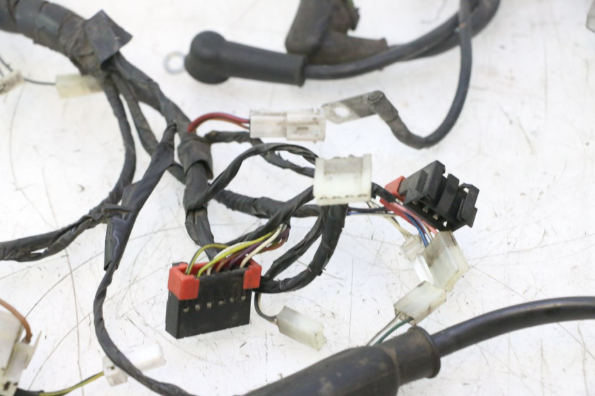 photo de WIRE HARNESS PIAGGIO LIBERTY 125 (1998 - 2008) - Alternative perspective