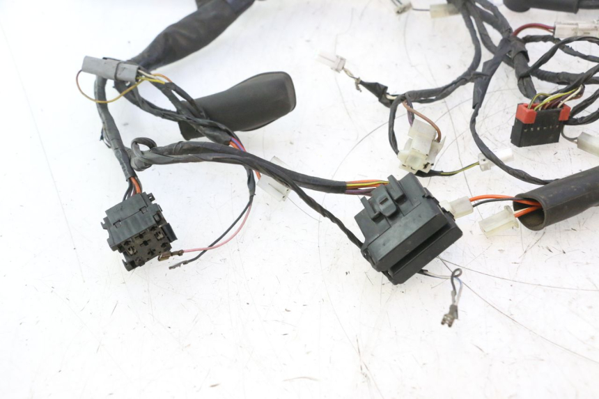 photo de WIRE HARNESS PIAGGIO LIBERTY 125 (1998 - 2008) - Technical close-up