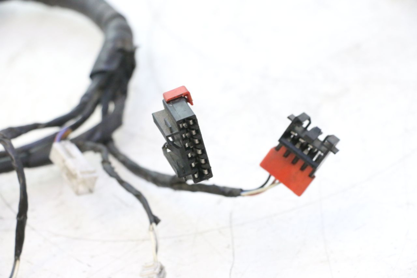 photo de WIRE HARNESS PIAGGIO LIBERTY 125 (1998 - 2008) - Checked used part