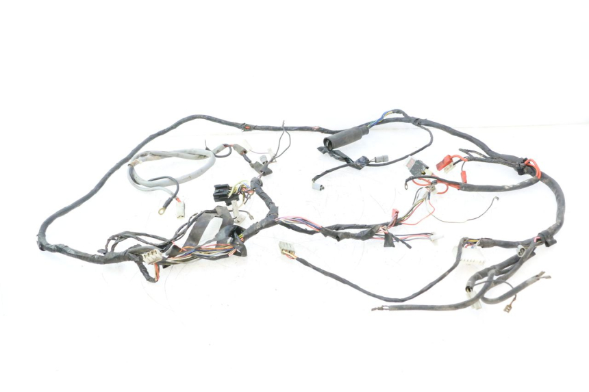 photo de WIRE HARNESS PIAGGIO LIBERTY 50 (1998 - 2003) - Main view