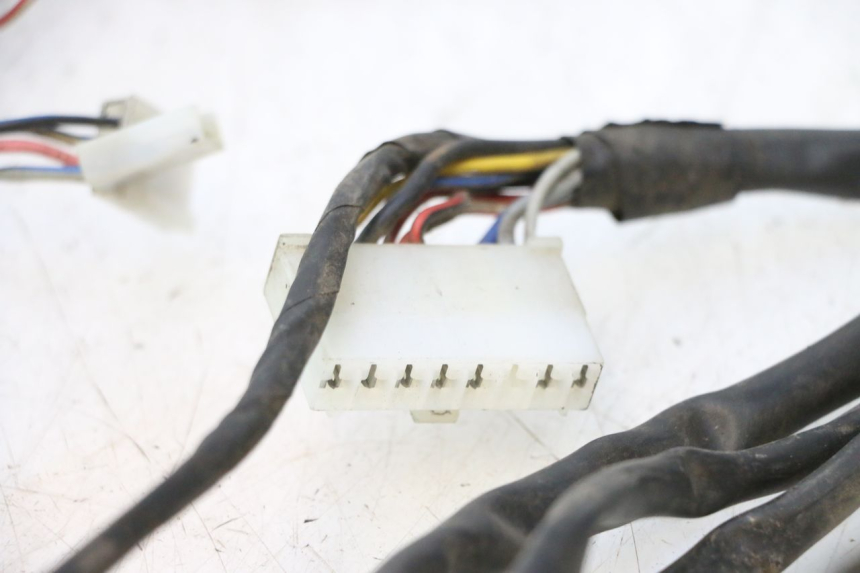 photo de WIRE HARNESS PIAGGIO LIBERTY 50 (1998 - 2003) - Focus on structure