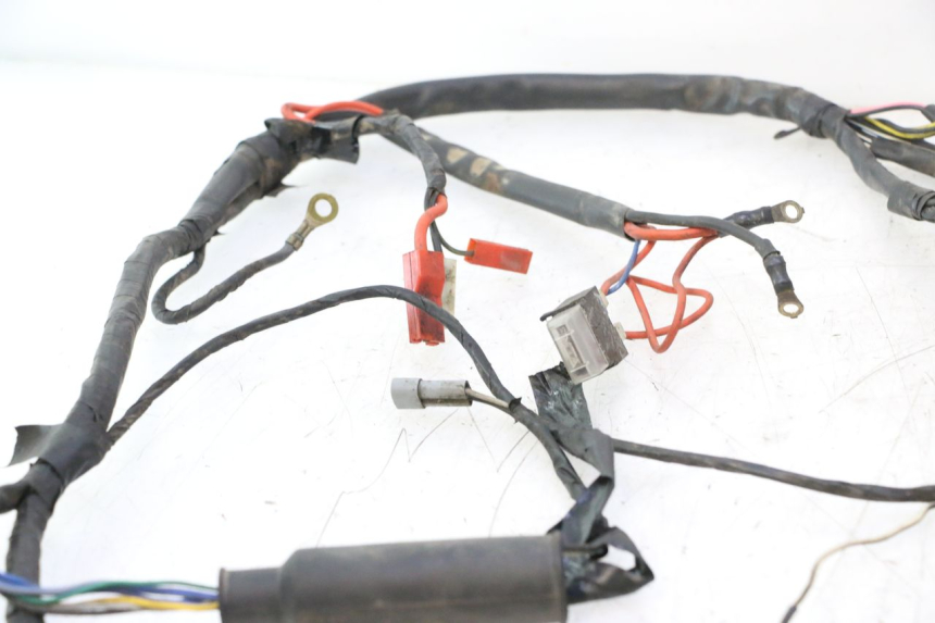 photo de WIRE HARNESS PIAGGIO LIBERTY 50 (1998 - 2003) - Product overview