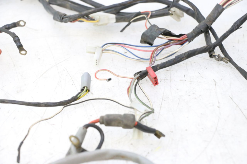 photo de WIRE HARNESS PIAGGIO LIBERTY 50 (1998 - 2003) - Checked used part