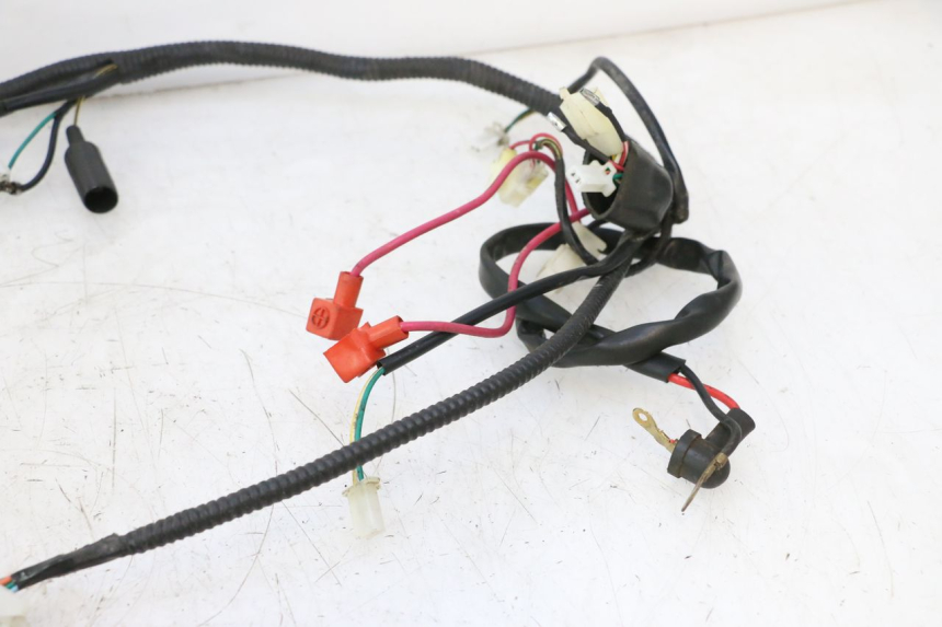 photo de WIRE HARNESS LONGJIA LJ50QT 8M 2T 50 (2010 - 2017) - Additional view of the item