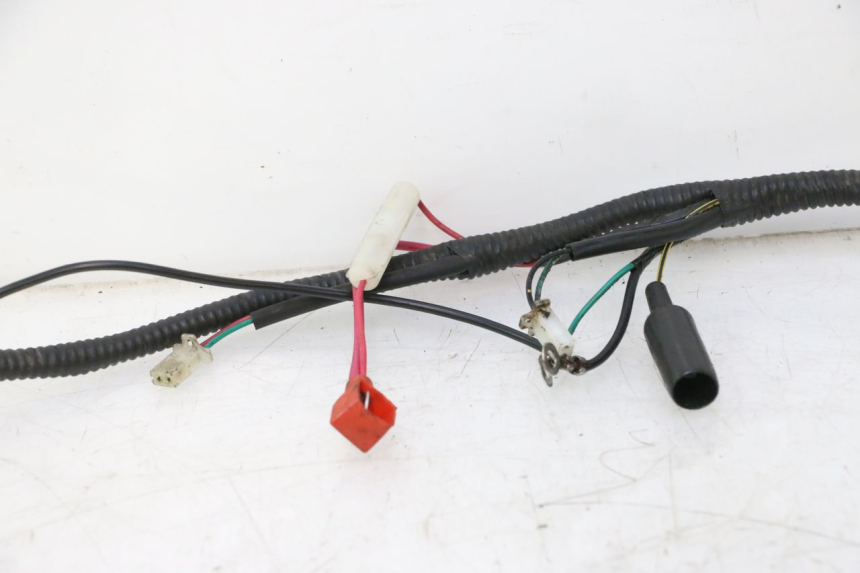 photo de WIRE HARNESS LONGJIA LJ50QT 8M 2T 50 (2010 - 2017) - Markings and original references