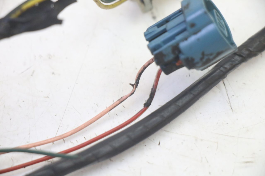 photo de WIRING HARNESS PEUGEOT LUDIX 50 (2008 - 2017) - Technical close-up