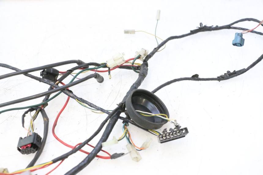 photo de WIRING HARNESS PEUGEOT LUDIX 50 (2008 - 2017) - Component detail