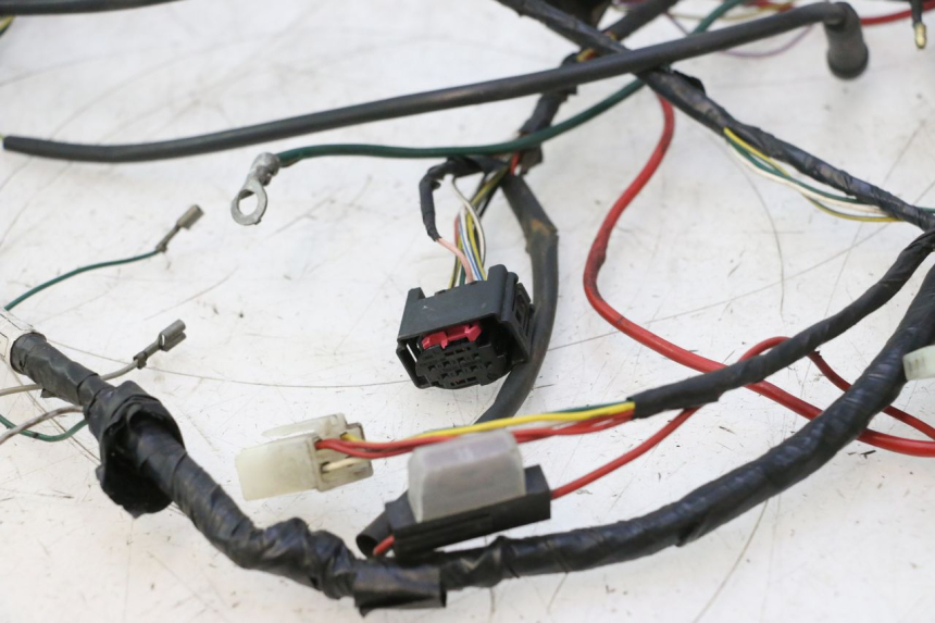 photo de WIRING HARNESS PEUGEOT LUDIX 50 (2008 - 2017) - Zoom on usage condition