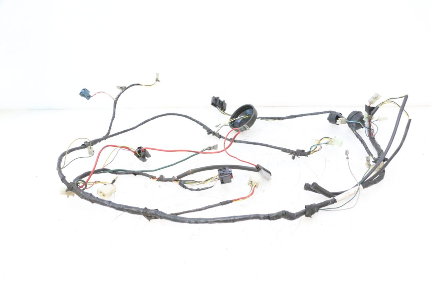 photo de WIRING HARNESS PEUGEOT LUDIX 50 (2008 - 2017) - Fixing points details