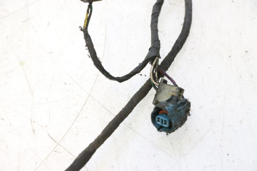 photo de WIRING HARNESS PEUGEOT LUDIX 50 (2005 - 2007) - High-resolution close-up
